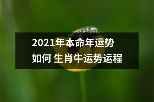 2025年本命年运势如何生肖牛运势运程