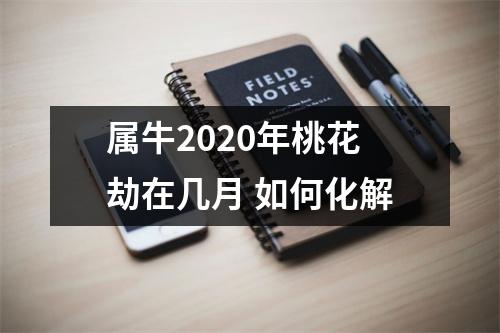 <h3>属牛2025年桃花劫在几月如何化解