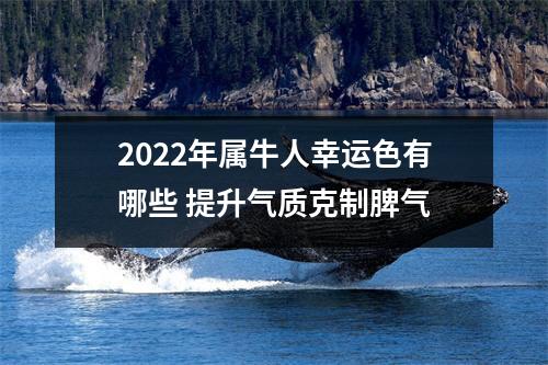 2025年属牛人幸运色有哪些提升气质克制脾气