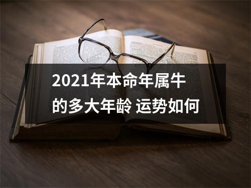 2025年本命年属牛的多大年龄运势如何