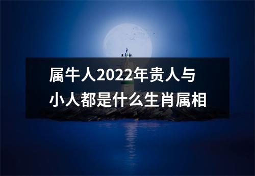 属牛人2025年贵人与小人都是什么生肖属相