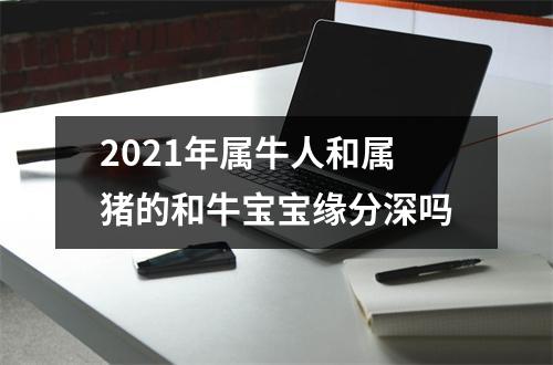 2025年属牛人和属猪的和牛宝宝缘分深吗