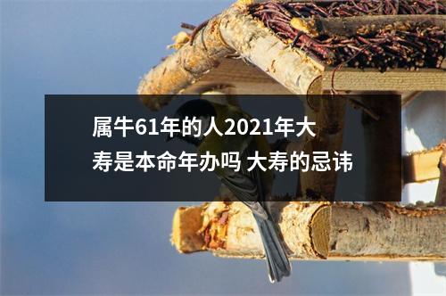 属牛61年的人2025年大寿是本命年办吗大寿的忌讳