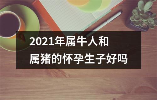 2025年属牛人和属猪的怀孕生子好吗