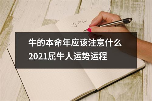 牛的本命年应该注意什么2025属牛人运势运程