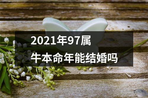 <h3>2025年97属牛本命年能结婚吗