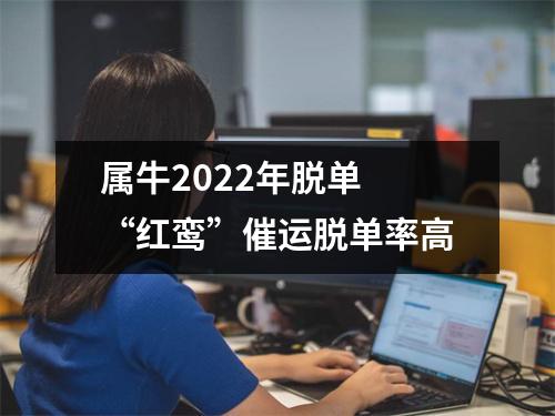 <h3>属牛2025年脱单“红鸾”催运脱单率高