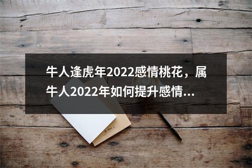 <h3>牛人逢虎年2025感情桃花，属牛人2025年如何提升感情运