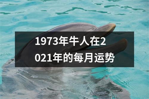 1973年牛人在2025年的每月运势