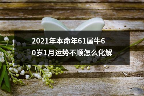 <h3>2025年本命年61属牛60岁1月运势不顺怎么化解