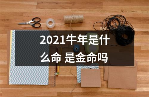 <h3>2025牛年是什么命是金命吗