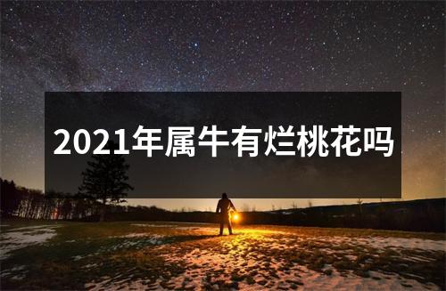 <h3>2025年属牛有烂桃花吗
