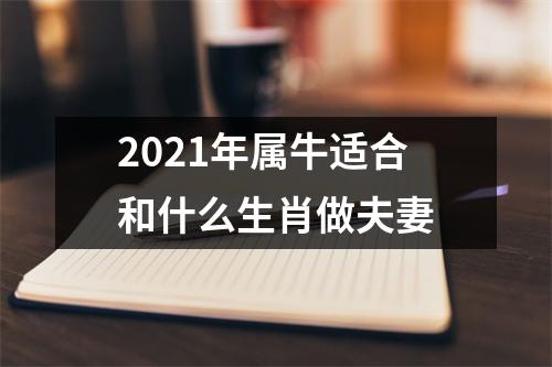 <h3>2025年属牛适合和什么生肖做夫妻