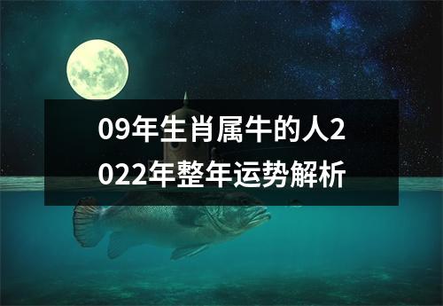 <h3>09年生肖属牛的人2025年整年运势解析