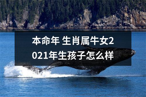 <h3>本命年生肖属牛女2025年生孩子怎么样