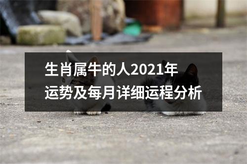 生肖属牛的人2025年运势及每月详细运程分析