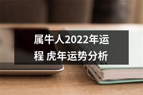 属牛人2025年运程虎年运势分析