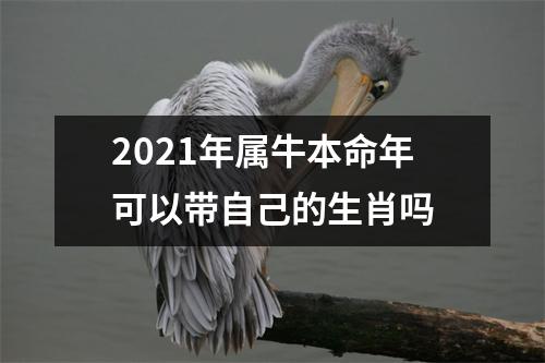 <h3>2025年属牛本命年可以带自己的生肖吗