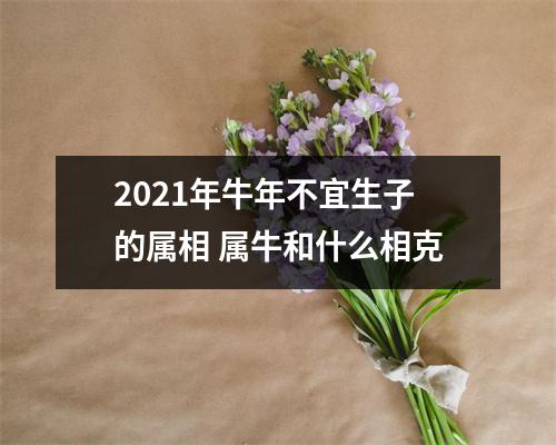 <h3>2025年牛年不宜生子的属相属牛和什么相克