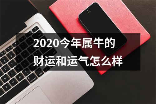 2025今年属牛的财运和运气怎么样