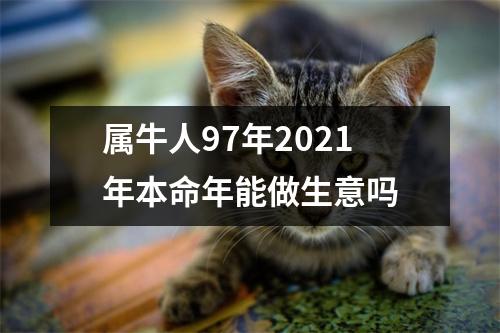 <h3>属牛人97年2025年本命年能做生意吗
