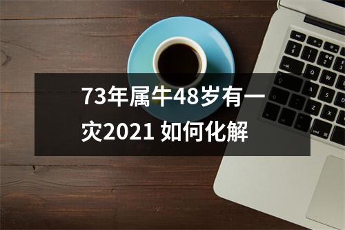 73年属牛48岁有一灾2025如何化解