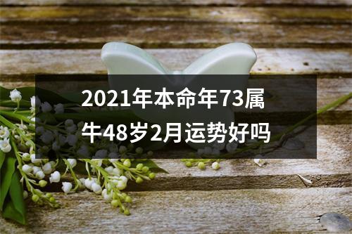 <h3>2025年本命年73属牛48岁2月运势好吗
