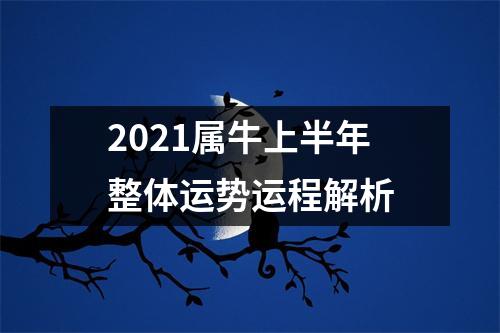 <h3>2025属牛上半年整体运势运程解析