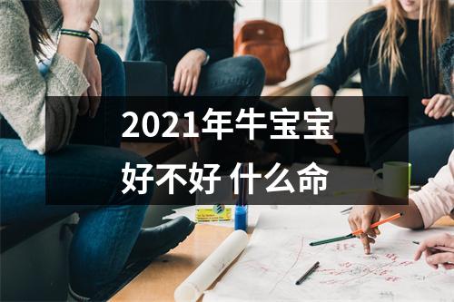 2025年牛宝宝好不好什么命