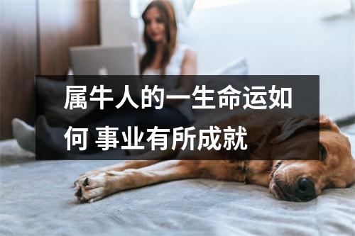 <h3>属牛人的一生命运如何事业有所成就