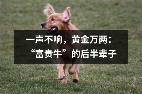 <h3>一声不响，黄金万两：“富贵牛”的后半辈子