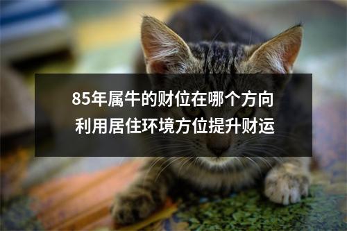 <h3>85年属牛的财位在哪个方向利用居住环境方位提升财运