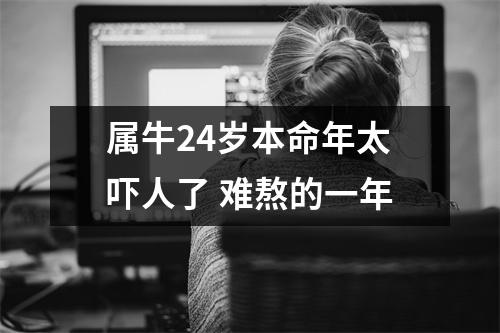 属牛24岁本命年太吓人了难熬的一年