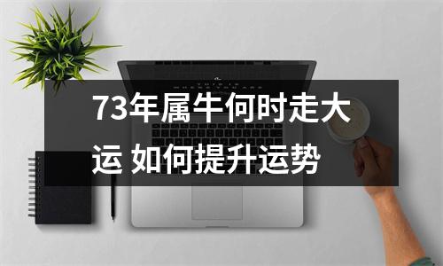 73年属牛何时走大运如何提升运势