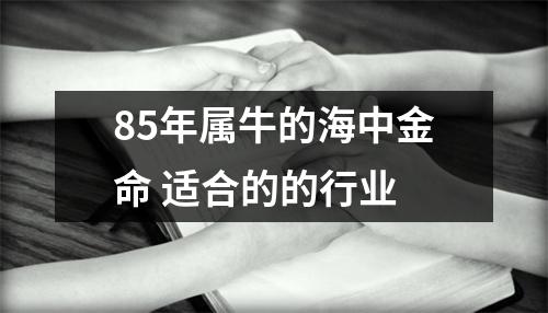 <h3>85年属牛的海中金命适合的的行业