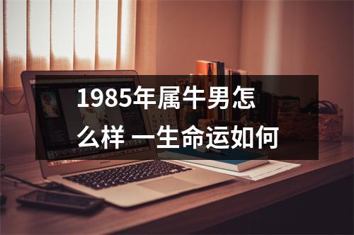 <h3>1985年属牛男怎么样一生命运如何