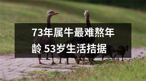 <h3>73年属牛难熬年龄53岁生活拮据