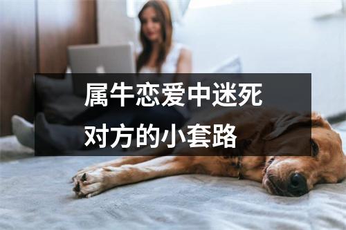 <h3>属牛恋爱中迷死对方的小套路