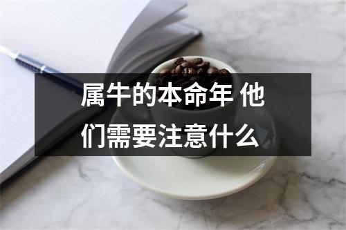 属牛的本命年他们需要注意什么