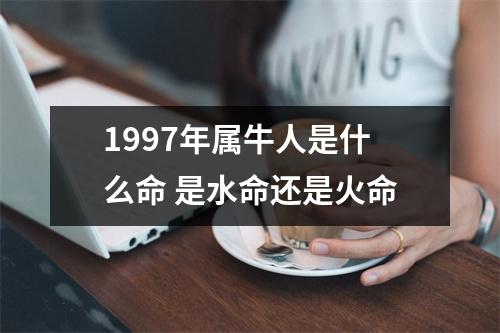 <h3>1997年属牛人是什么命是水命还是火命