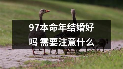 97本命年结婚好吗需要注意什么