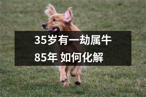 <h3>35岁有一劫属牛85年如何化解