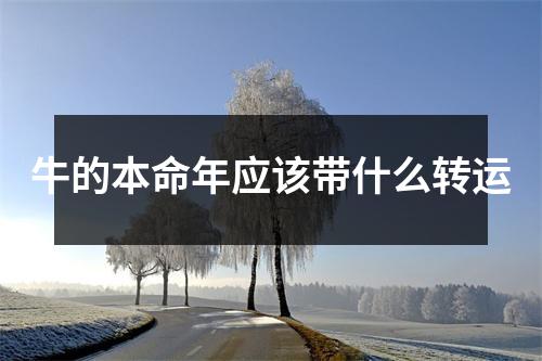 <h3>牛的本命年应该带什么转运