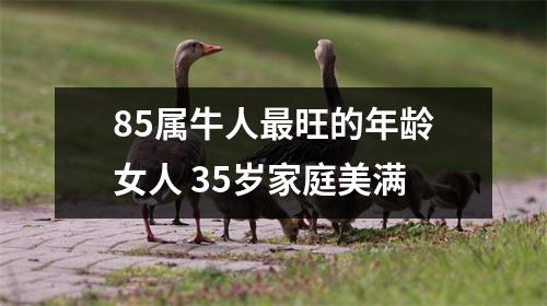 85属牛人旺的年龄女人35岁家庭美满