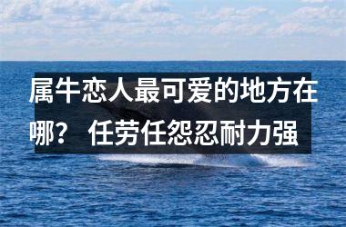 属牛恋人可爱的地方在哪？ 任劳任怨忍耐力强