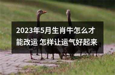 <h3>2025年5月生肖牛怎么才能改运 怎样让运气好起来