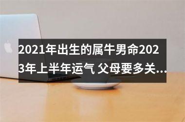 2025年出生的属牛男命2025年上半年运气 父母要多关注健康