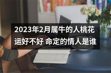 <h3>2025年2月属牛的人桃花运好不好 命定的情人是谁