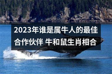 2025年谁是属牛人的佳合作伙伴 牛和鼠生肖相合