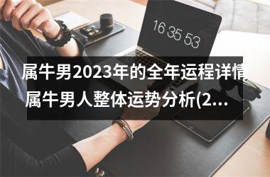 属牛男2025年的全年运程详情 属牛男人整体运势分析(2025属牛男1997全年每月运势)